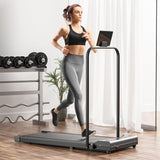 Treadmill Walking Jogging Machine 2 in 1 Folding Electric Motorized Treadmill 2.25 HP